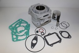 Show details for Aprilia RS 125 Zylinder Mitaka Rotax 122 Picture of Aprilia RS 125 Zylinder Mitaka Rotax 122