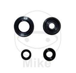 Show details for Yamaha WR 125 Motorsimmerringsatz Picture of Yamaha WR 125 Motorsimmerringsatz