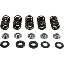 Zeige Details für Yamaha YFM 660 R Tuning Nockenwelle Ventilfedern für Hot Cam Stage 2 und 3  Bild von Yamaha YFM 660 R Tuning Nockenwelle Ventilfedern für Hot Cam Stage 2 und 3