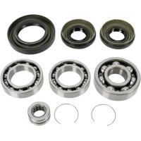 Show details for Polaris RZR 800 Reparatursatz Differential / Achsgetriebe Picture of Polaris RZR 800 Reparatursatz Differential / Achsgetriebe