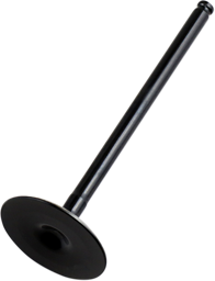 Show details for Kawasaki KX 450 F Einlassventil 09-15 Picture of Kawasaki KX 450 F Einlassventil 09-15