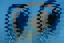 Show details for Kawasaki KX 250 CDI 81-88 Picture of Kawasaki KX 250 CDI 81-88