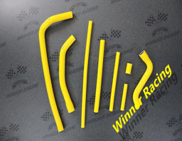 Show details for Can Am DS 450 Silikon Kühlerschläuche Picture of Can Am DS 450 Silikon Kühlerschläuche