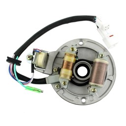 Zeige Details für Yamaha Grizzly 80 Lichtmaschine Bild von Yamaha Grizzly 80 Lichtmaschine