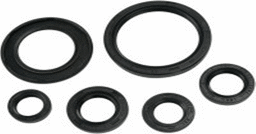 Show details for Honda TRX 450 Motorsimmeringsatz 06-09 Picture of Honda TRX 450 Motorsimmeringsatz 06-09