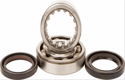 Zeige Details für Honda CRF 250 Kurbelwellenlager Satz Hot Rods 04-15 Bild von Honda CRF 250 Kurbelwellenlager Satz Hot Rods 04-15
