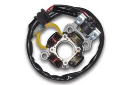 Show details for Yamaha YZF 450 Lichtmaschine 06-09 Picture of Yamaha YZF 450 Lichtmaschine 06-09