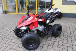Picture for category Access Mini Sport 110 Kinderquad