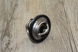 Picture of Yamaha Rhino 660 Thermostat