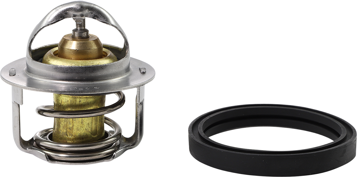 Picture of Polaris Scrambler 1000 Thermostat