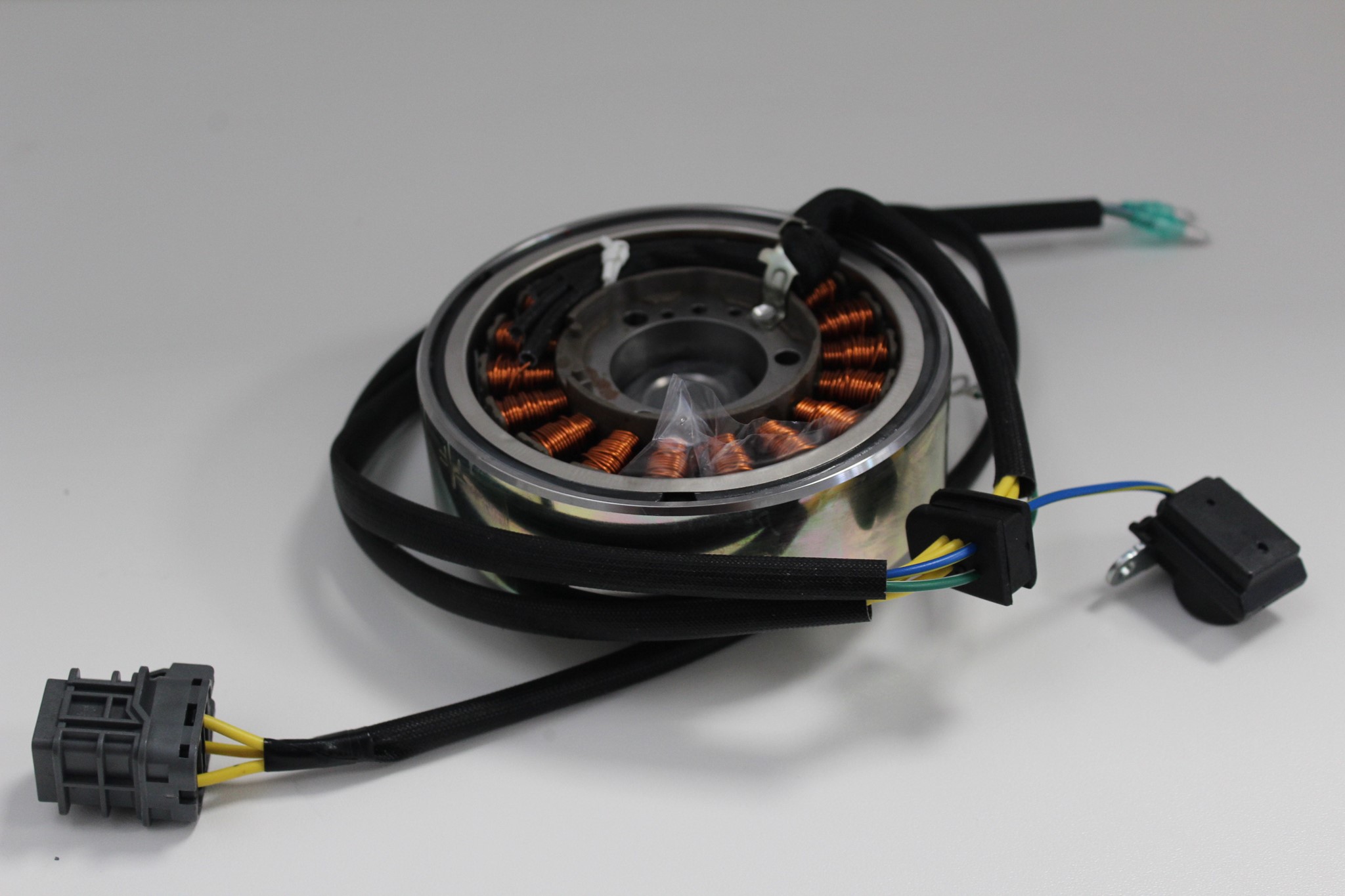 Bild von Triton Baja 400 EFI Lichtmaschine / Stator