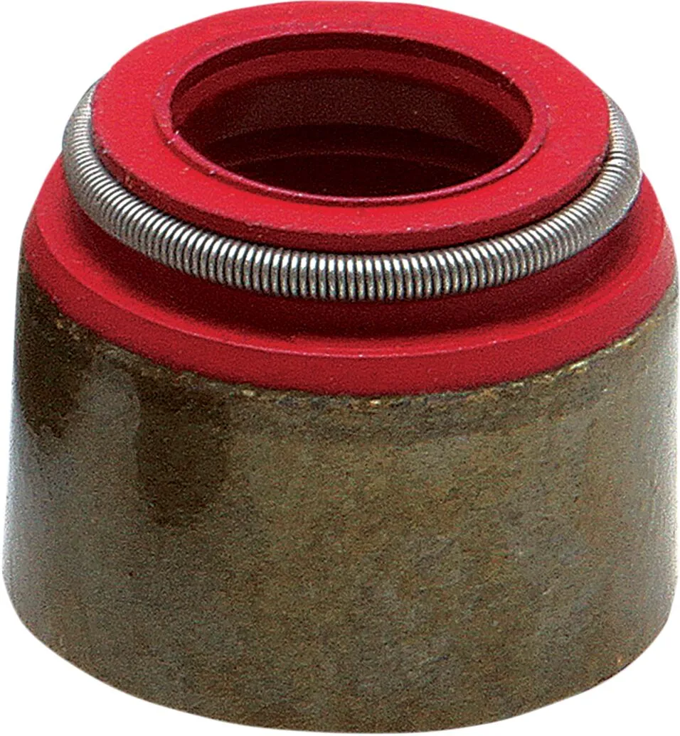 Bild von Dinli 450 Explorer Trasher 520 525 Adly Hurricane 450 Ventilschaftdichtung