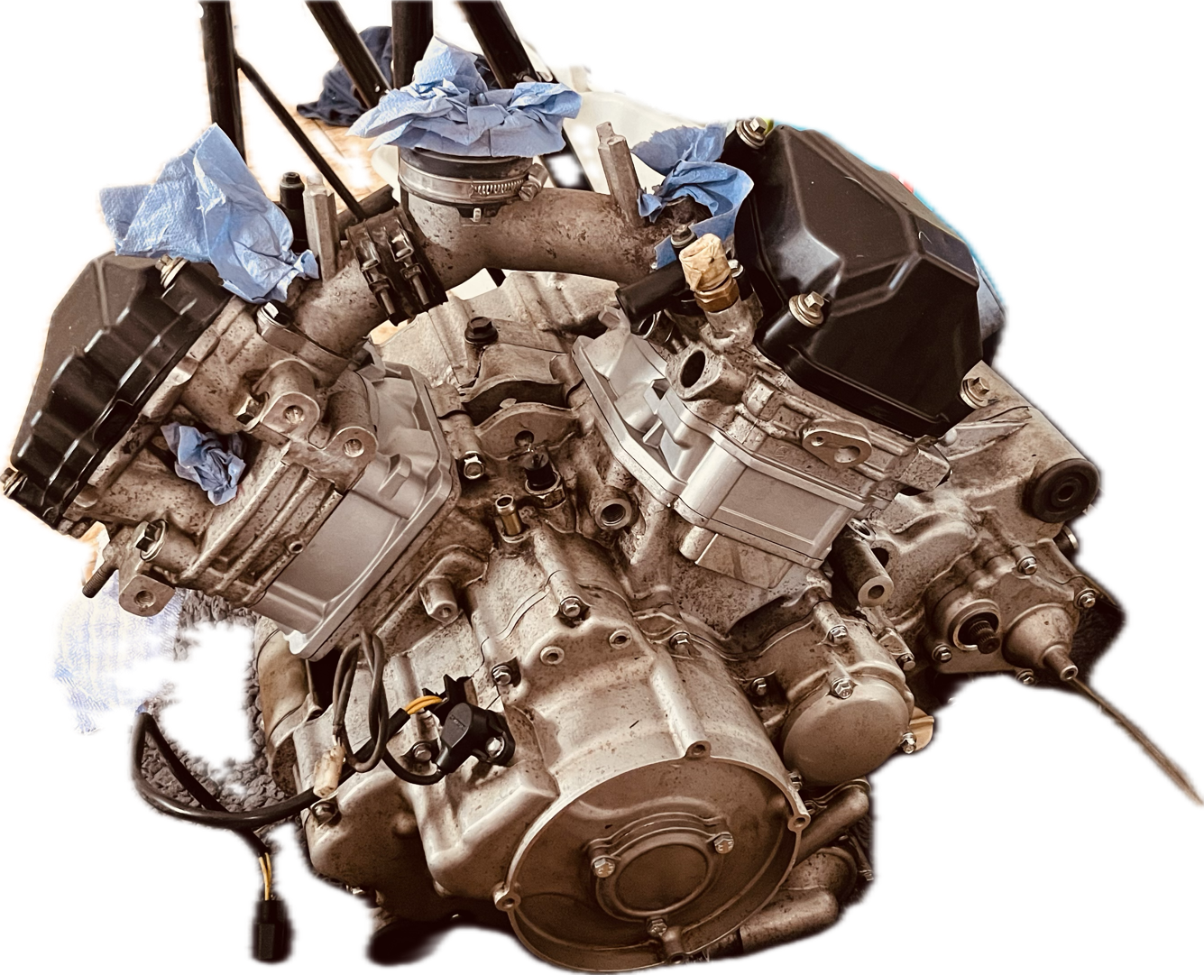 Bild von CFMOTO CFORCE 800 820 Terralander Motor
