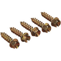 Picture of Spikes Typ Gold 15.9 mm