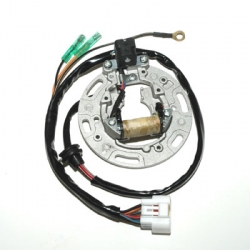 Bild von Kawasaki KX 100 Stator 01-05