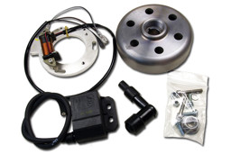Picture of Maico 490 Stator Kit